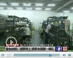 湖北金安纺织集团产业转型升级 企业效益凸显